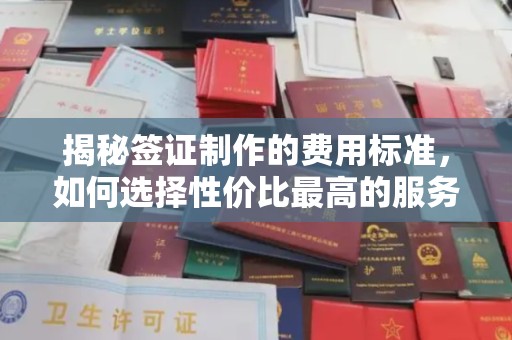香格里拉揭秘签证制作的费用标准，如何选择性价比最高的服务？
