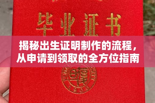 香格里拉揭秘出生证明制作的流程，从申请到领取的全方位指南